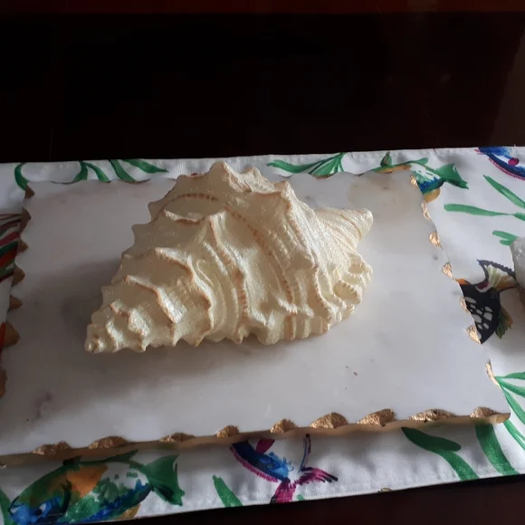 New tablecloth - Picture 6 of 11